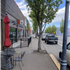 Downtown Tree and Sidewalk Replacement